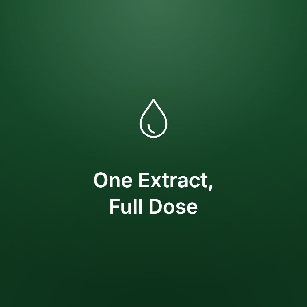Amla Extract Capsules