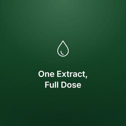 Amla Extract Capsules