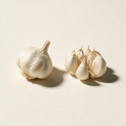 Garlic bulbs and cloves (Allium sativum) on a seamless off-white background