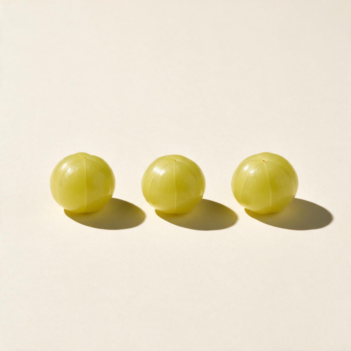 Amla fruit, clinical still life